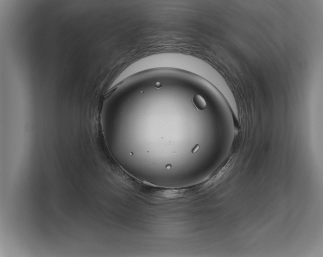 X0000111420184200907201055