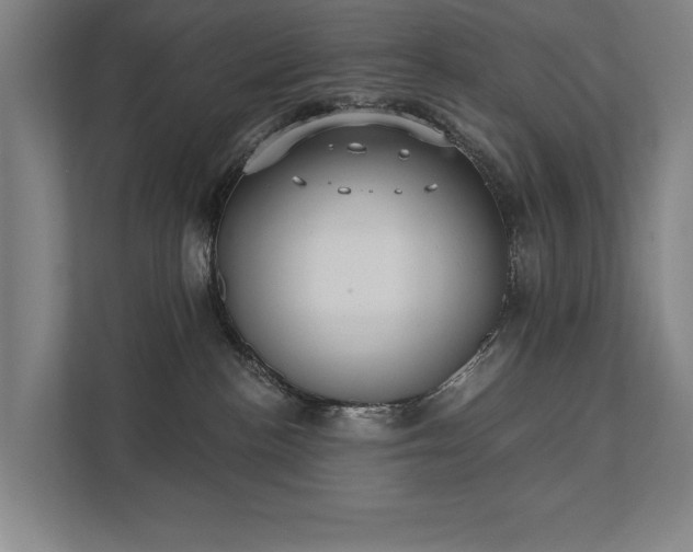 X0000111420188200907201055