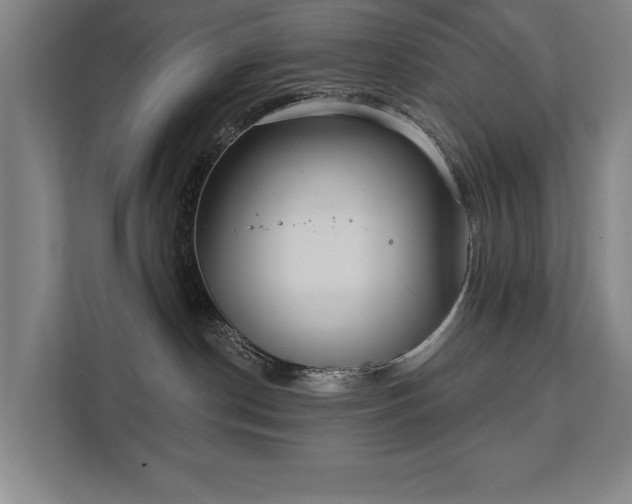 X0000111420190200907201055