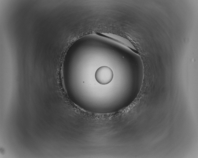 X0000111420192200907201055