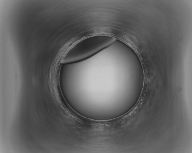 X0000111420193200907201055