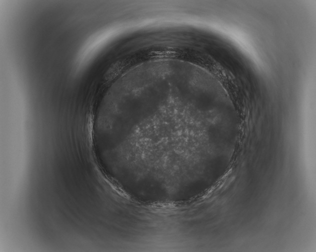 X0000111420194200907201055