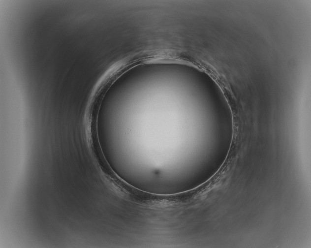 X0000111420197200907201054