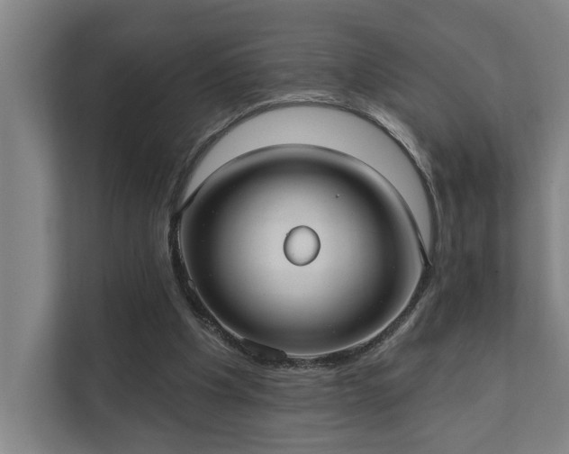 X0000111420201200907201054