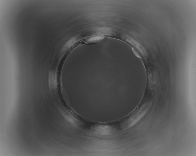 X0000111420203200907201054