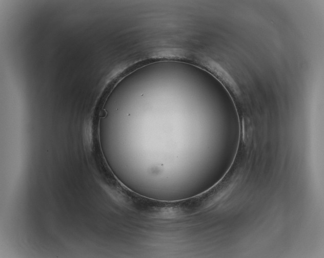 X0000111420204200907201054