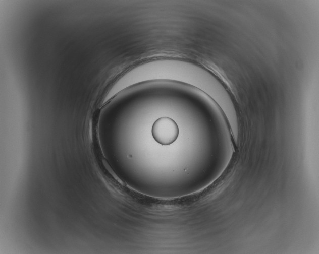 X0000111420205200907201054