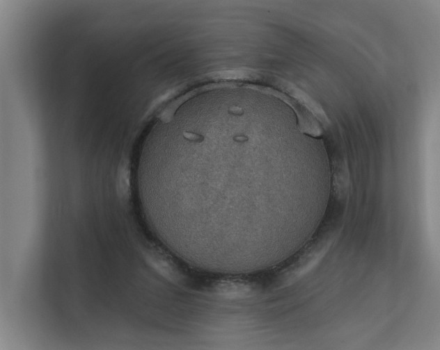 X0000111420207200907201054