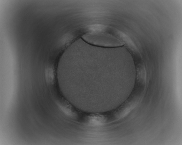 X0000111420215200907201054