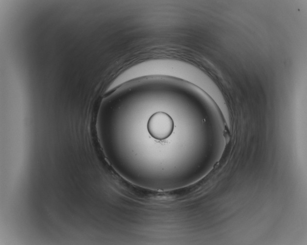 X0000111420217200907201054