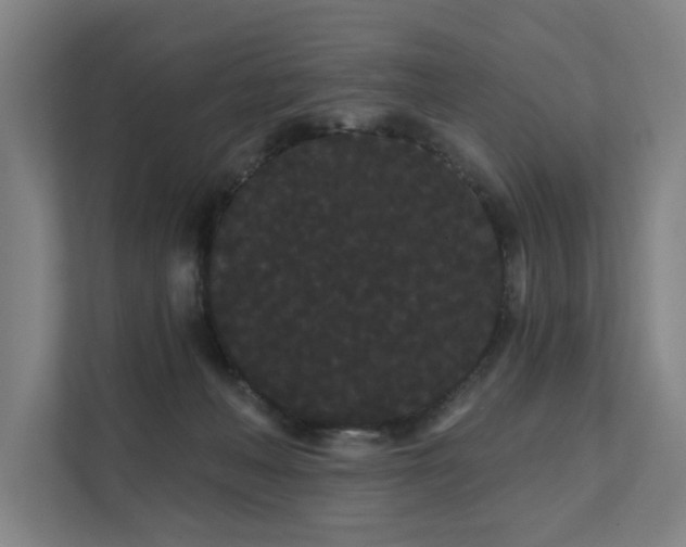 X0000111420222200907201054