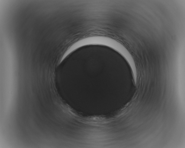 X0000111420223200907201054