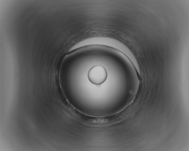 X0000111420225200907201054