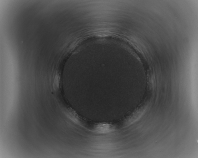 X0000111420227200907201054