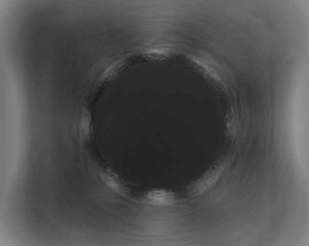 X0000111420231200907201054