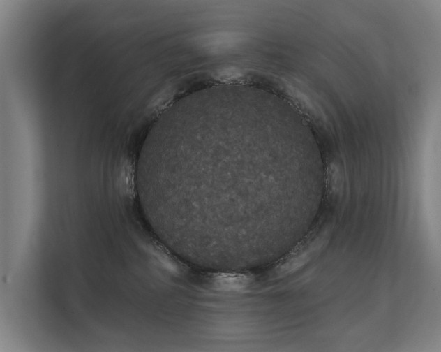 X0000111420234200907201054