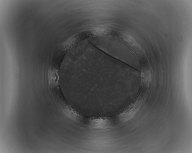 X0000111420237200907201054