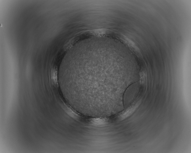 X0000111420238200907201054