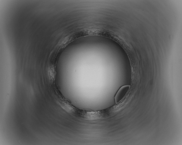 X0000111420240200907201054