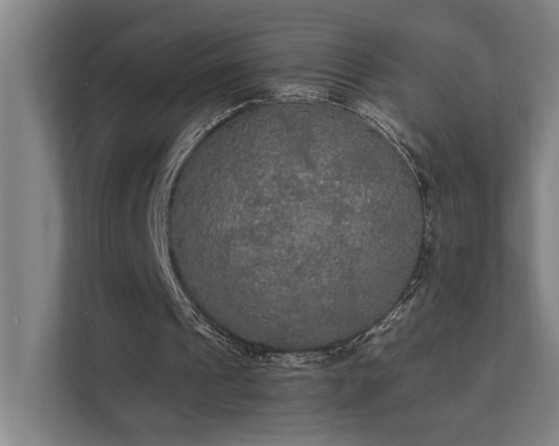 X0000111420241200907201053