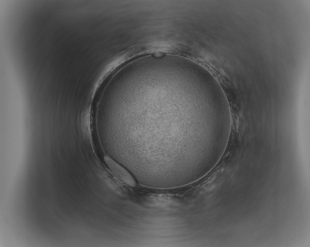 X0000111420244200907201053