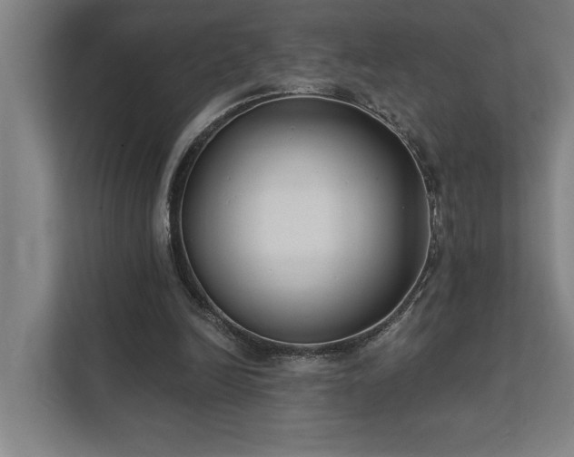 X0000111420246200907201053