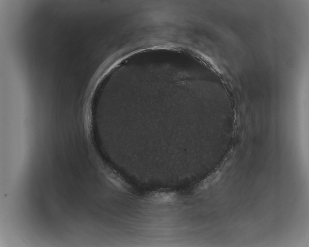 X0000111420247200907201053