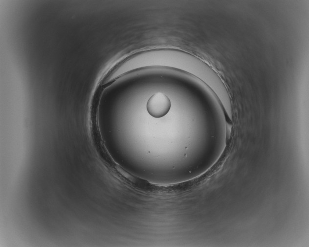 X0000111420248200907201053