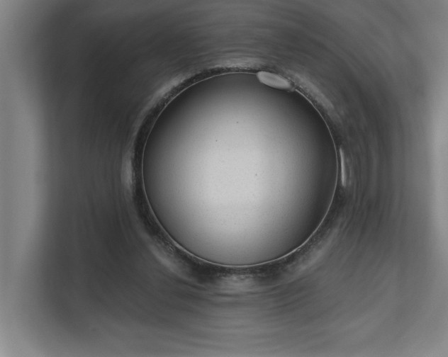 X0000111420252200907201053