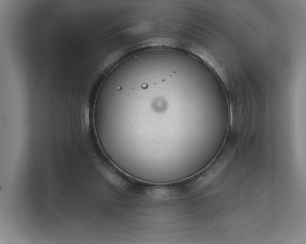 X0000111420253200907201053