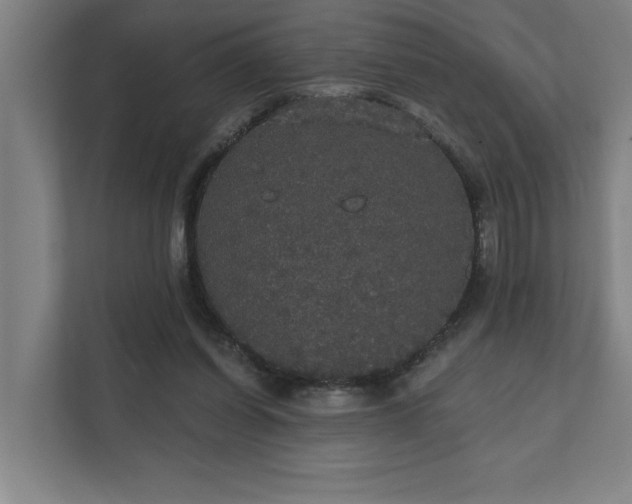 X0000111420254200907201053