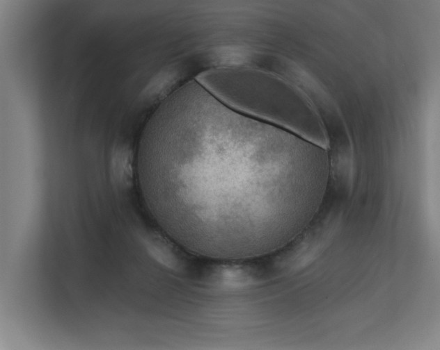 X0000111420264200907201054