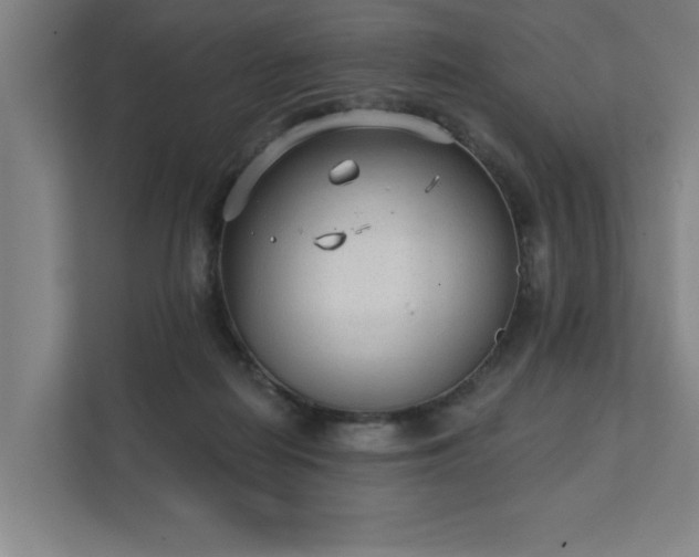 X0000111420266200907201054