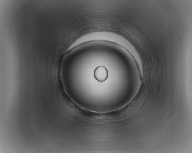 X0000111420268200907201054