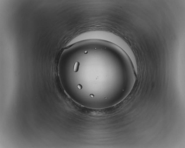 X0000111420272200907201054