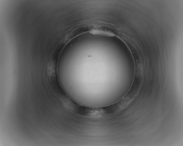 X0000111420274200907201054