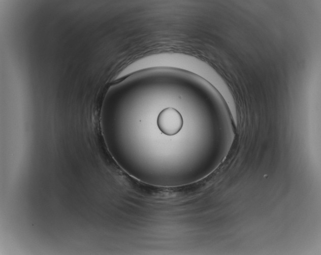 X0000111420276200907201054