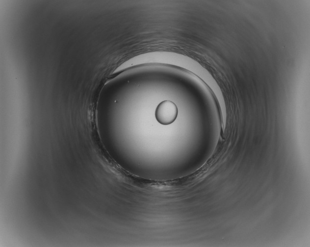 X0000111420284200907201054