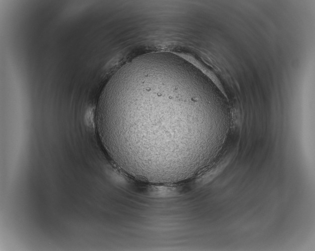 X0000111420286200907201054