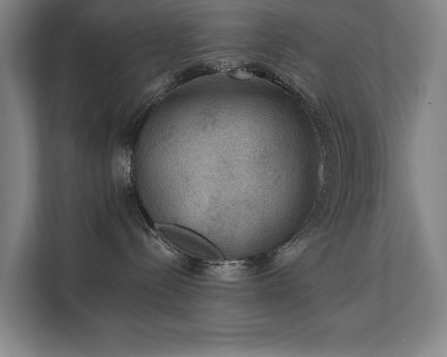 X0000111420288200907201054