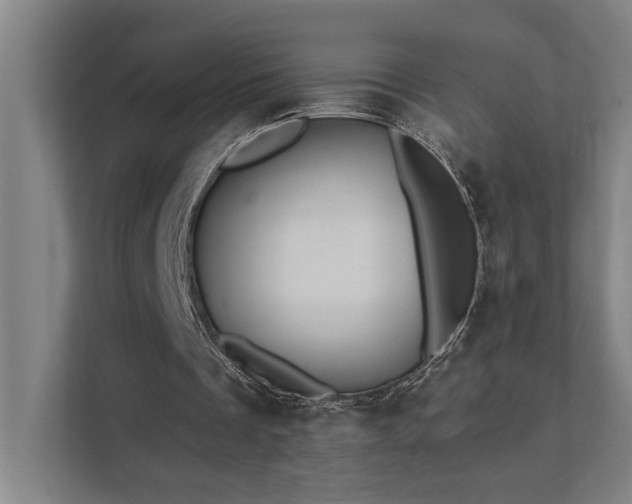 X0000111420289200907201053