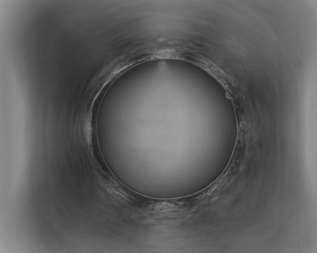 X0000111420290200907201053