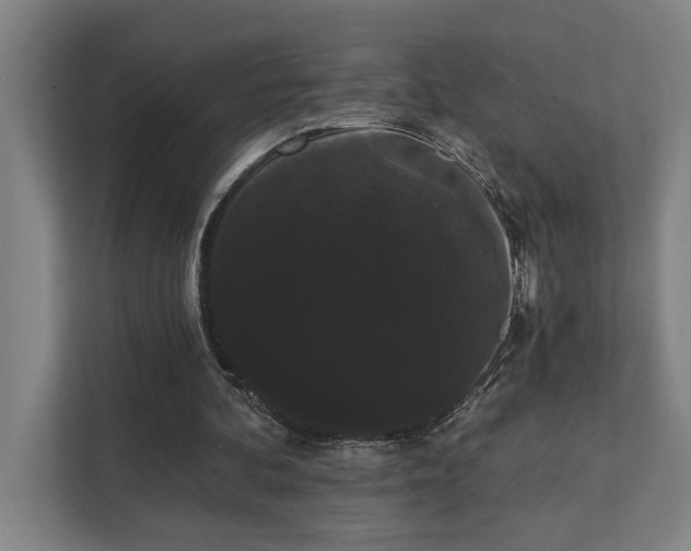 X0000111420292200907201053