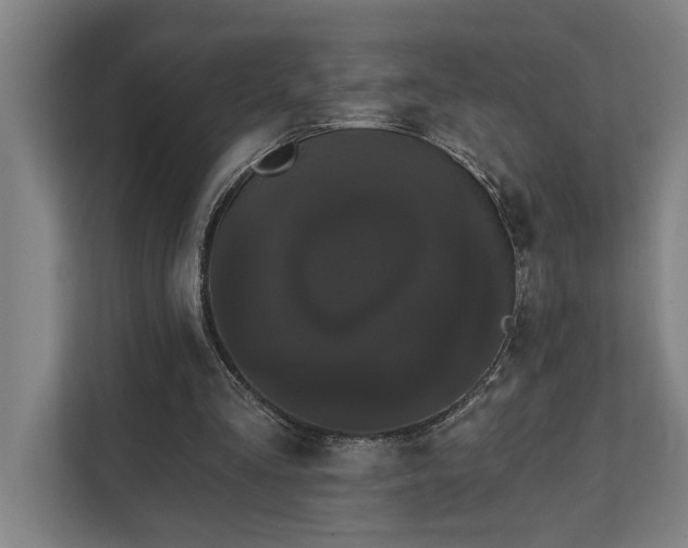 X0000111420293200907201053