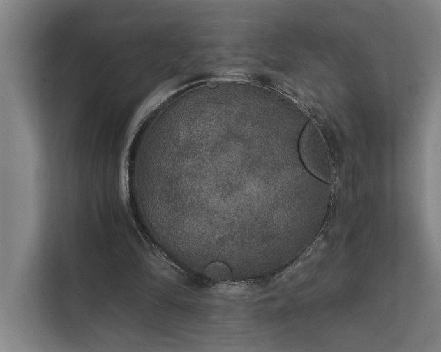 X0000111420294200907201053