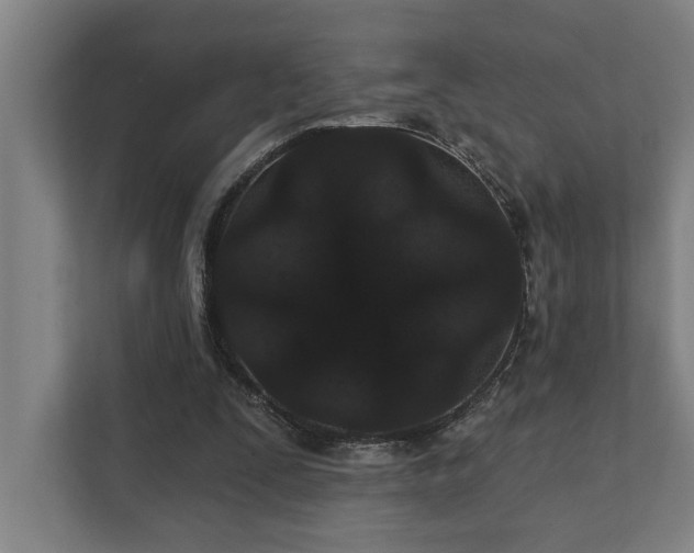 X0000111420295200907201053