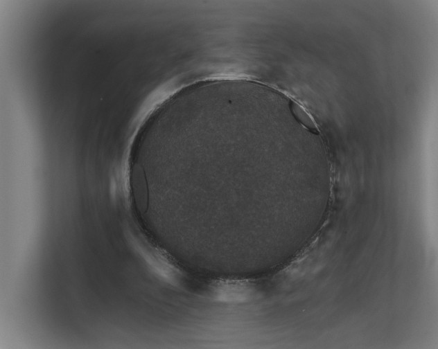 X0000111420296200907201053