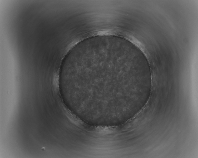 X0000111420297200907201053