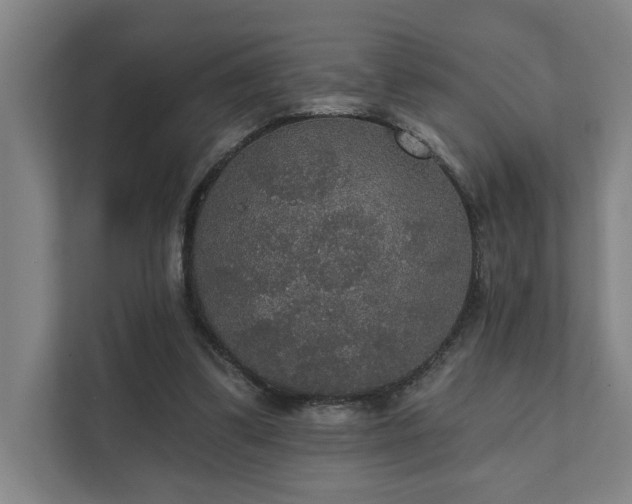 X0000111420299200907201053