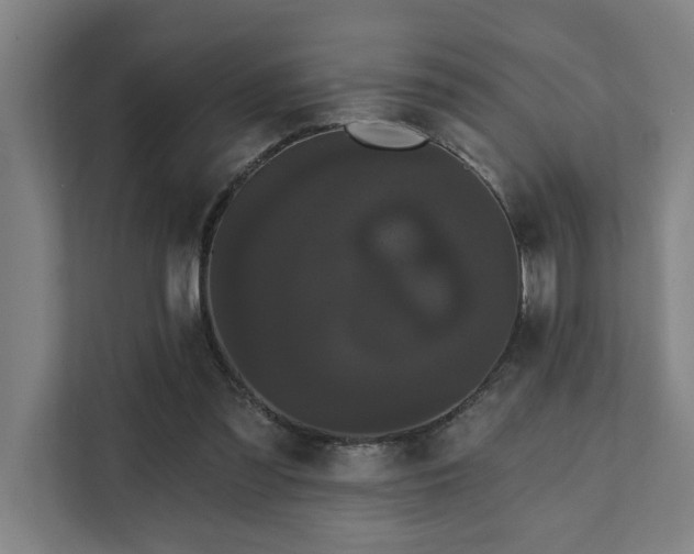 X0000111420301200907201053